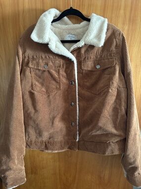 MissPosh Women’s Brown Corduroy Jacket